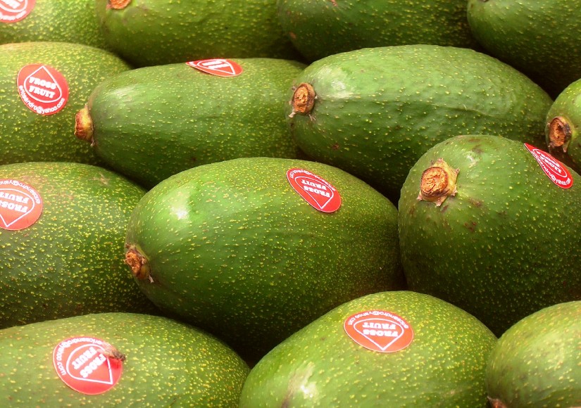 Peruvian avocados