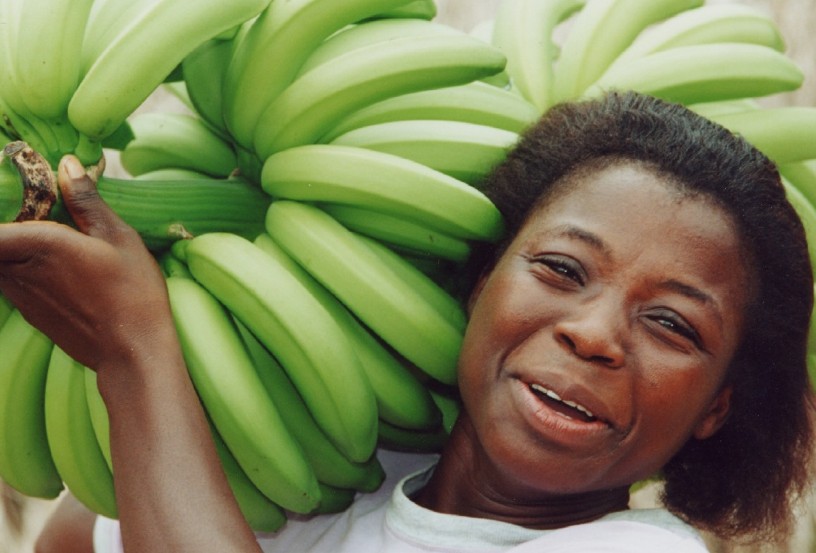 Ghana bananas