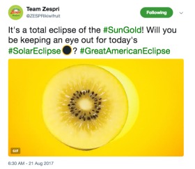 Zespri eclipse