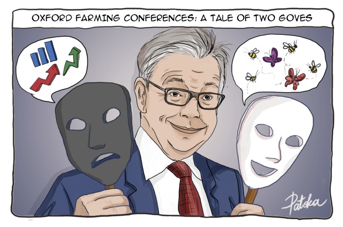 two faces of gove