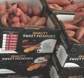 Israel sweet potatoes