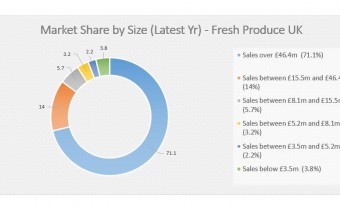 Chart - Market Share (latest year). Source - Plimsoll Publishing Limited, Fresh Produce Industry Analysis (April 2019)