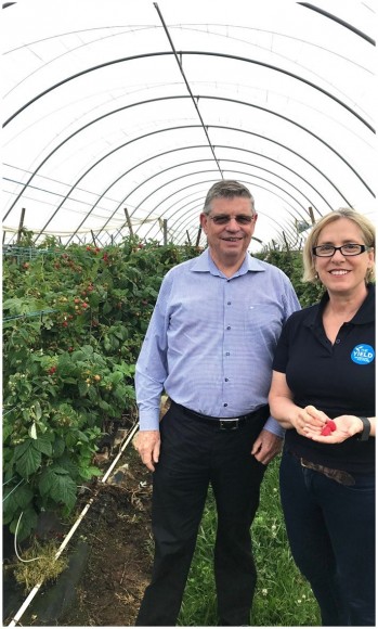 Harry Debney & Ros Harvey in berry polytunnel