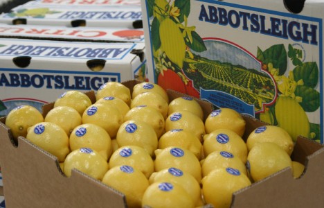 4. Abbotsleigh Lemons