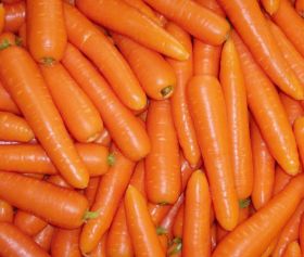 Generic carrots